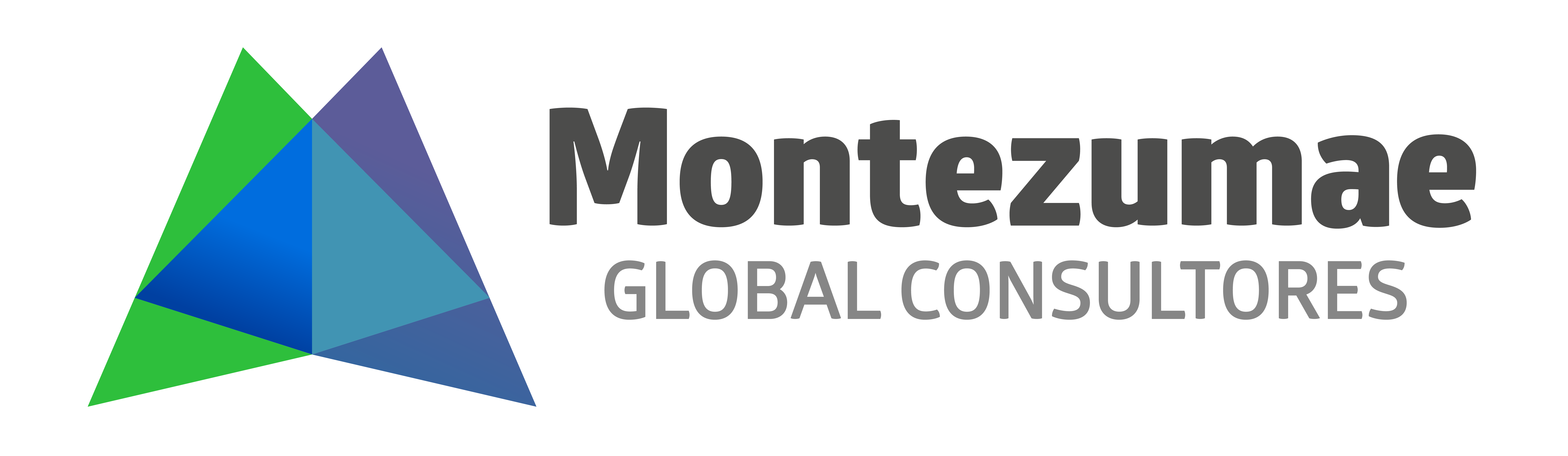 Montezumae Global Consultores