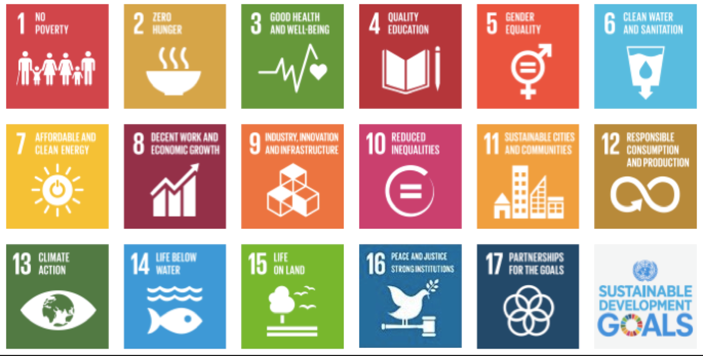 UN SDGs cobenefits of carbon credits compare offsets VCM engineers removals framework gold standard
