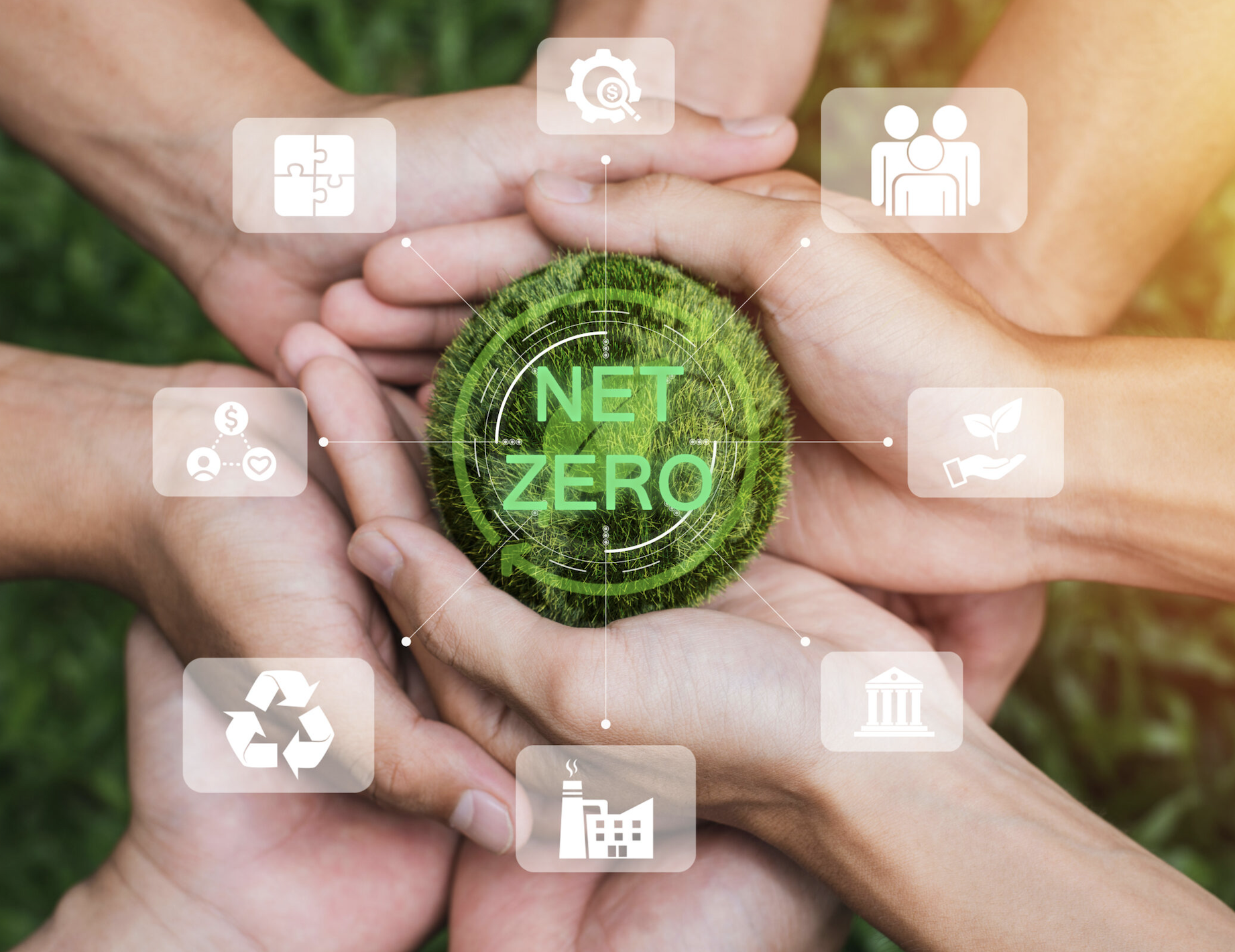 Net Zero SBTi Corporate Standard near term durable carbon removals credits offsetting mandatory CCP core carbon principals